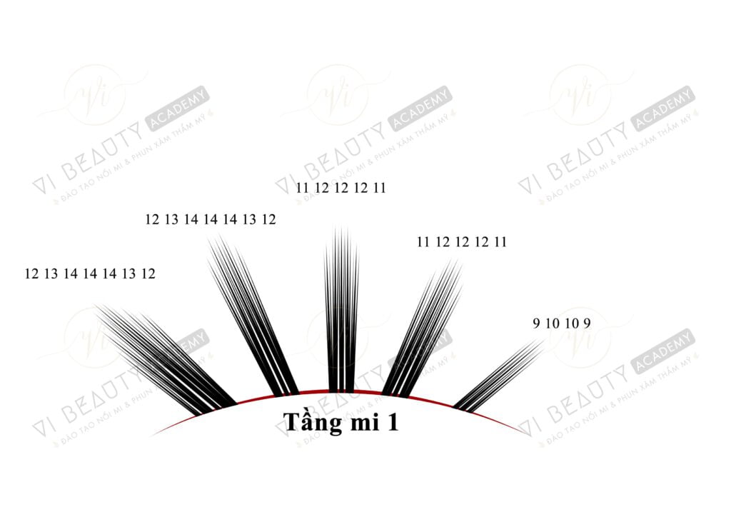 Công thức Mi thiết kế số 4 1 Công thức mi thiết kế Vi Beauty Academy