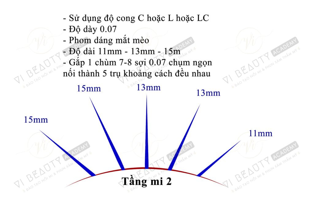 Công thức Mi thiết kế số 4 3 Công thức mi thiết kế Vi Beauty Academy