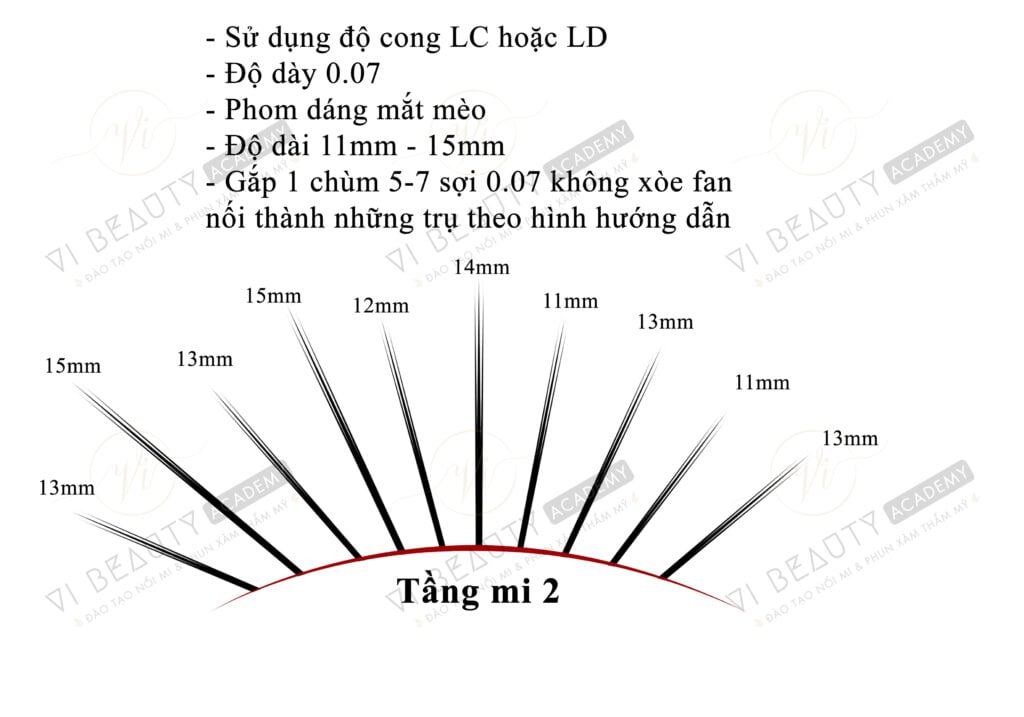 Công thức Mi thiết kế số 5 2 Công thức mi thiết kế Vi Beauty Academy