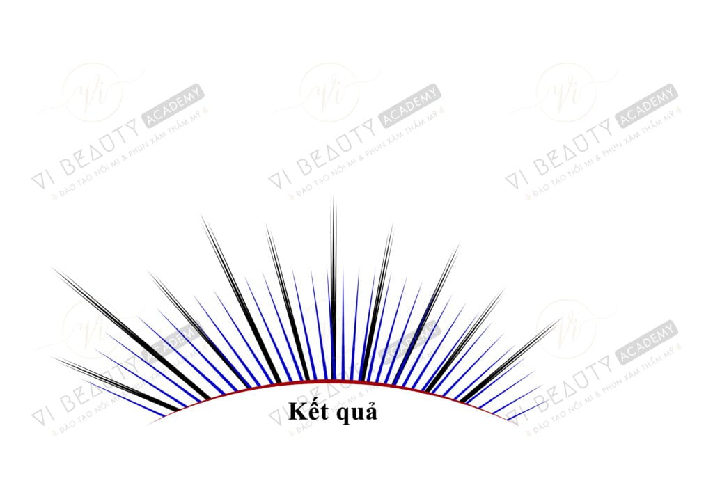 Công thức Mi thiết kế số 5 3 Công thức mi thiết kế Vi Beauty Academy