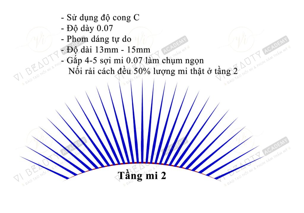 Công thức Mi thiết kế số 6 2 Công thức mi thiết kế Vi Beauty Academy
