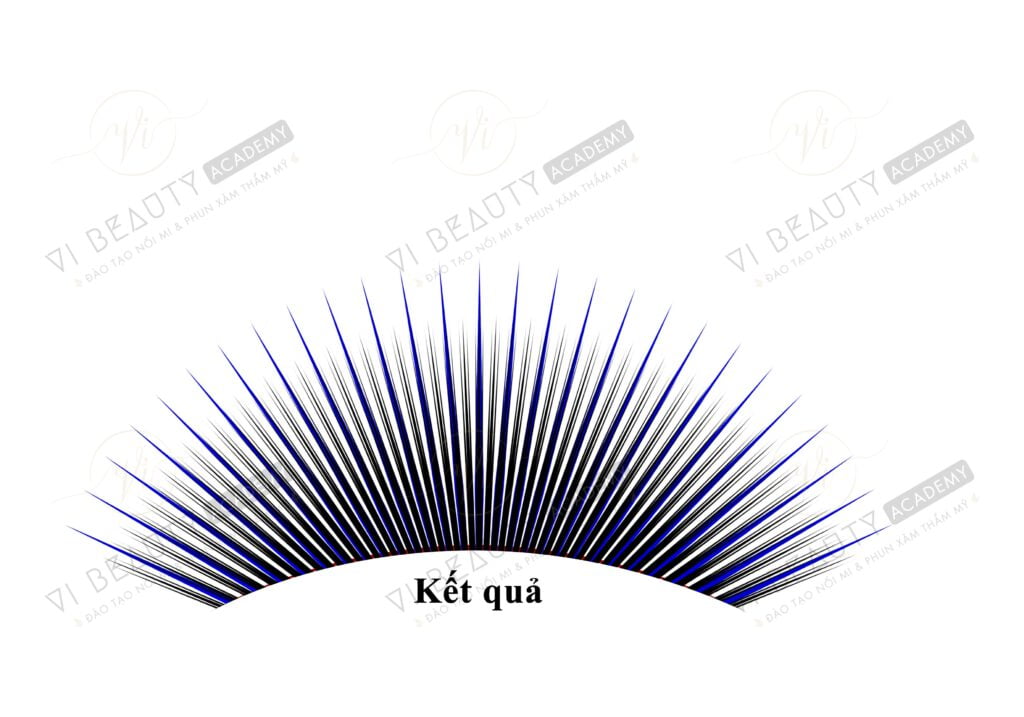 Công thức Mi thiết kế số 6 3 Công thức mi thiết kế Vi Beauty Academy