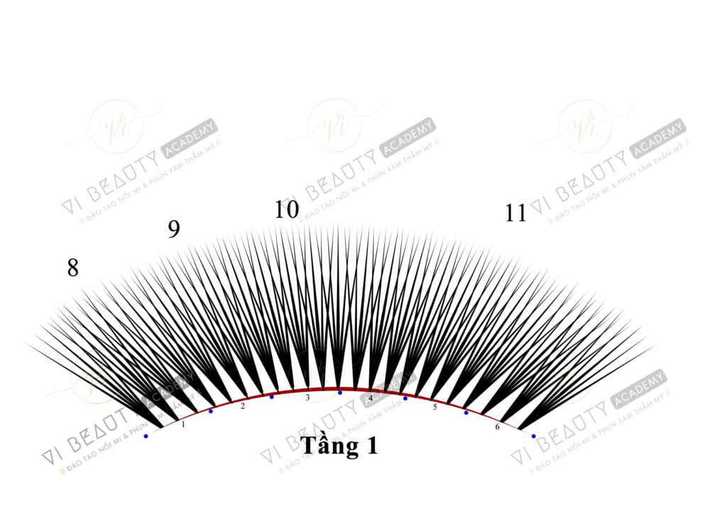 Công thức Mi thiết kế số 8 1 Công thức mi thiết kế Vi Beauty Academy