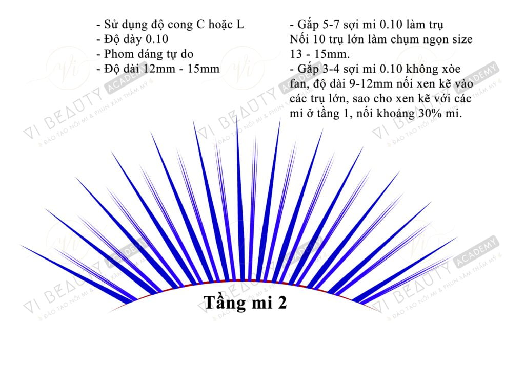 Công thức Mi thiết kế số 2 2 Công thức mi thiết kế Vi Beauty Academy