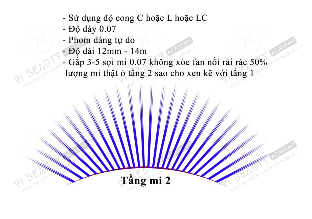 Công thức Mi thiết kế số 3 2 Công thức mi thiết kế Vi Beauty Academy