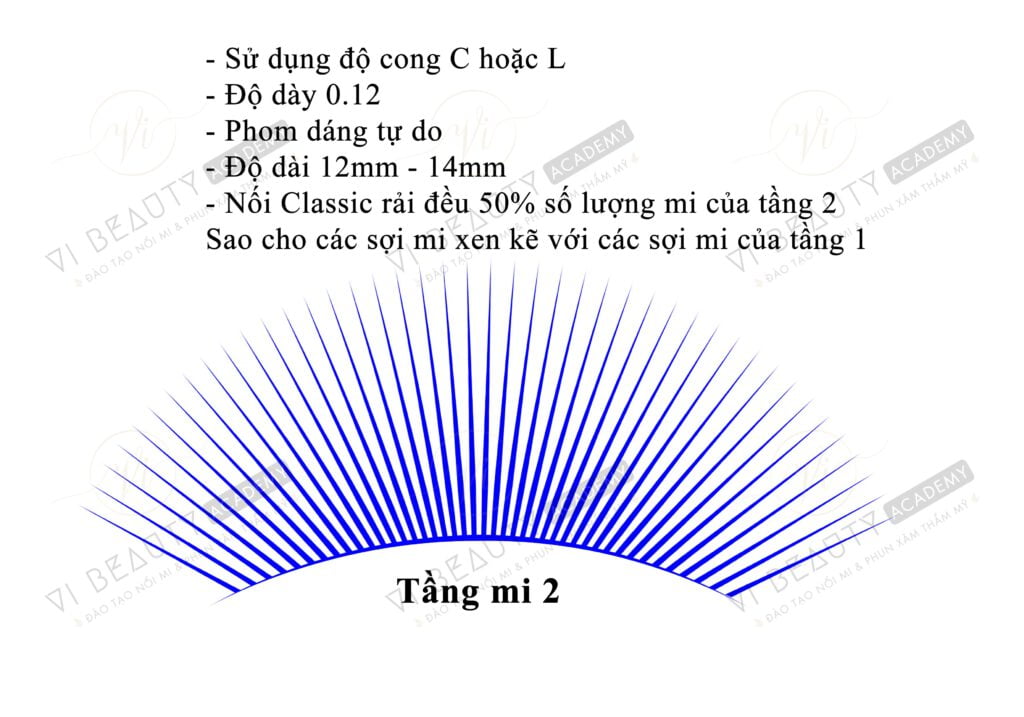 Công thức Mi thiết kế số 1 2 Công thức nối mi thiết kế Vi Beauty Academy